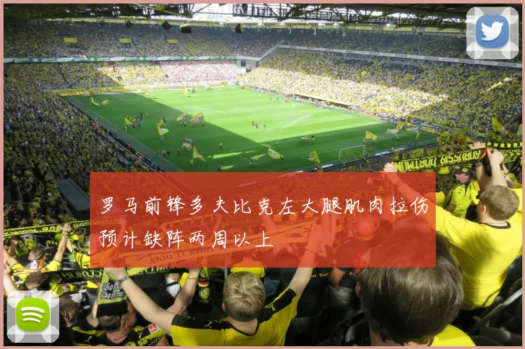 罗马前锋多夫比克左大腿肌肉拉伤预计缺阵两周以上