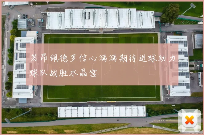 若昂佩德罗信心满满期待进球助力球队战胜水晶宫