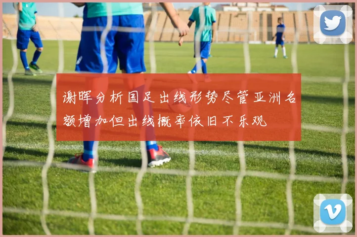 谢晖分析国足出线形势尽管亚洲名额增加但出线概率依旧不乐观